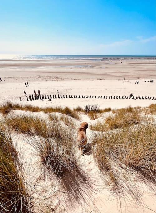Escapade Berckoise, Berck Plage Kültér fotó